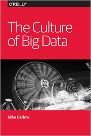 The Culture of Big Data