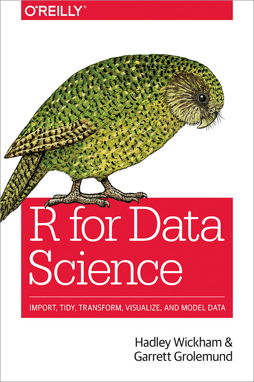 R for data science book heavenlybells.org