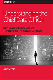 Understanding the Chief Data Officer