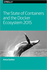 The State of Containers and the Docker Ecosystem: 2015