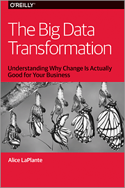 The Big Data Transformation
