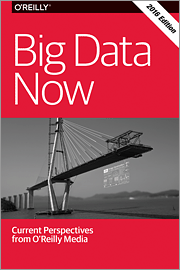 Big Data Now: 2016 Edition