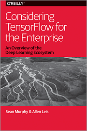 Considering TensorFlow for the Enterprise