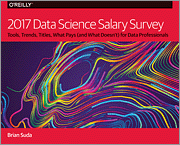 2017 Data Science Salary Survey