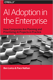 AI Adoption in the Enterprise