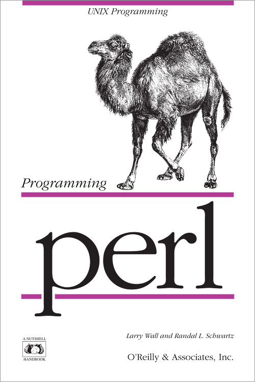 perl programming